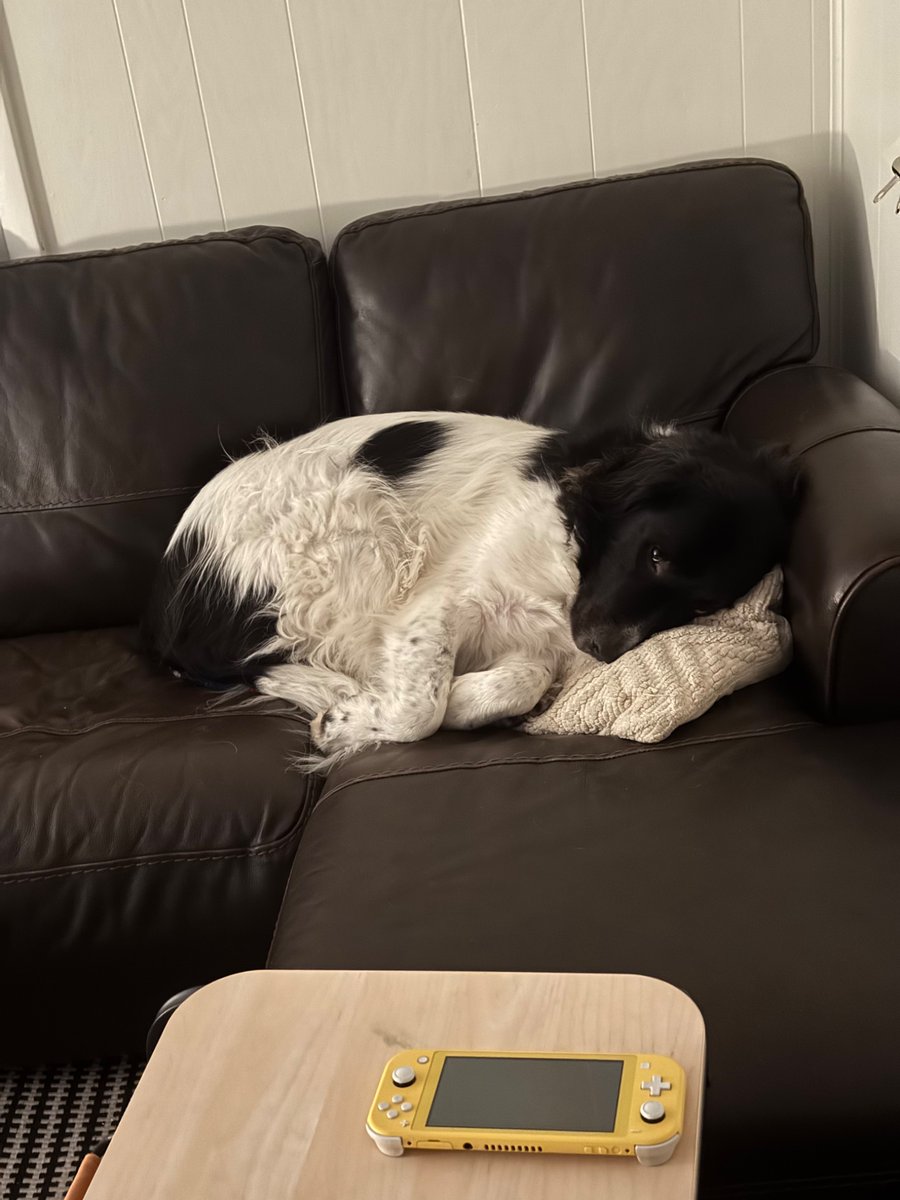 Anderson LeClair tweet media