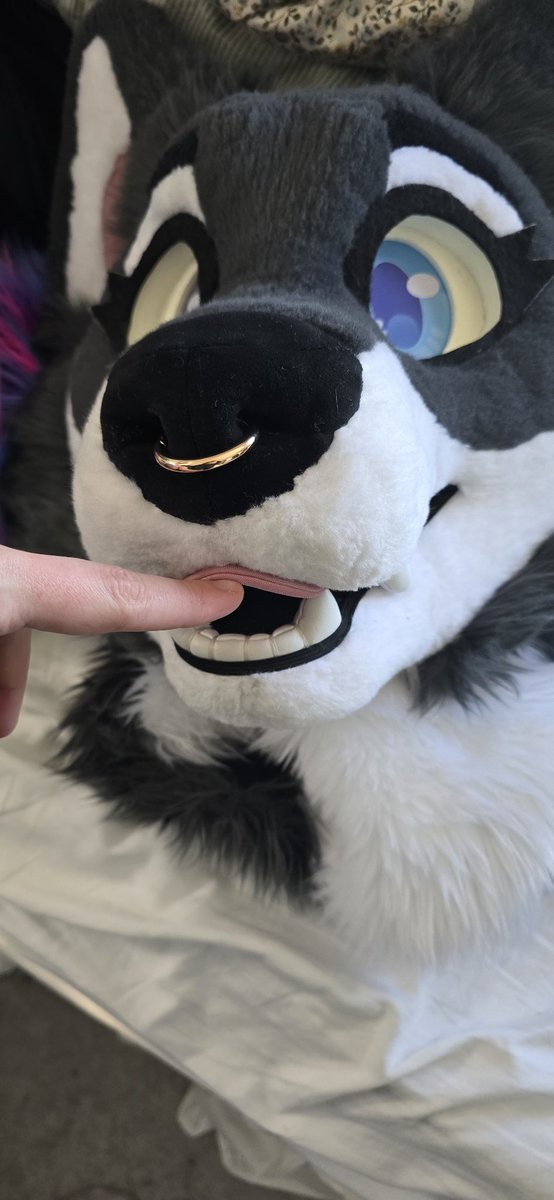 mars♡🐾🇨🇦🔜FE2026 tweet media