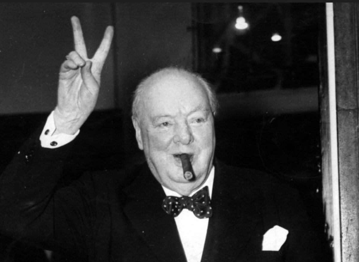 Marley Bushell tweet media