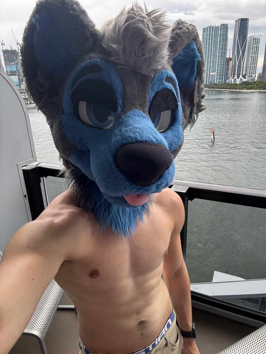 Casper Doggo tweet media