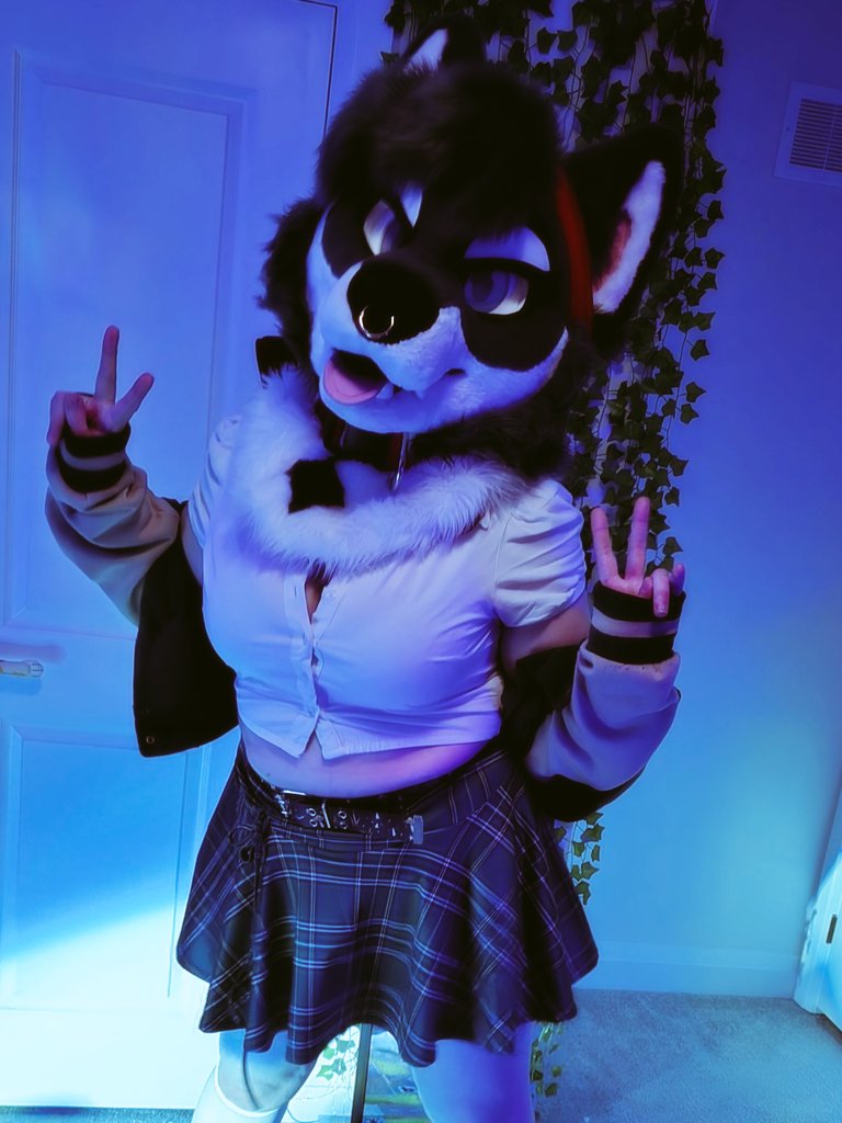 mars♡🐾🇨🇦🔜FE2026 tweet media