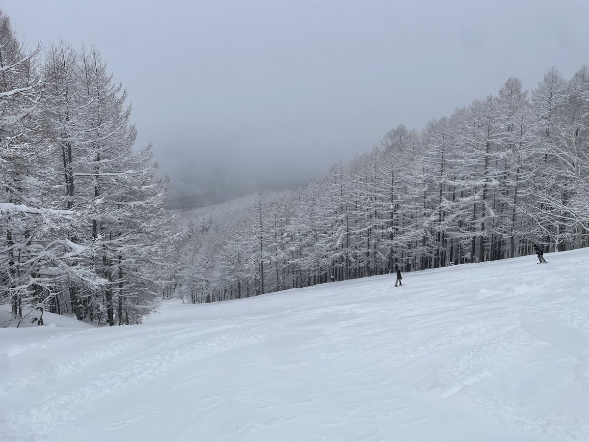 ShopforGirlsDay's tweet photo. ハンターマウンテン塩原に来ています、
道中本降りの雨でしたがスキー場周辺は雪だったようで雪国でした。
湿雪で思うようにスピードが出ませんが土も出てるとこなく気持ち良く滑れます。 https://t.co/rFTuDamttp