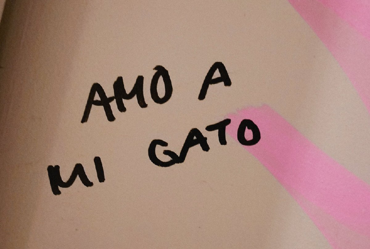 GATITTO🩷💜🩵 ATEEZ💞 tweet media