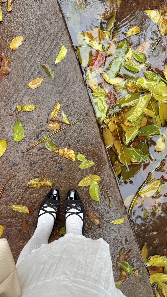 克里斯叮咚 tweet media