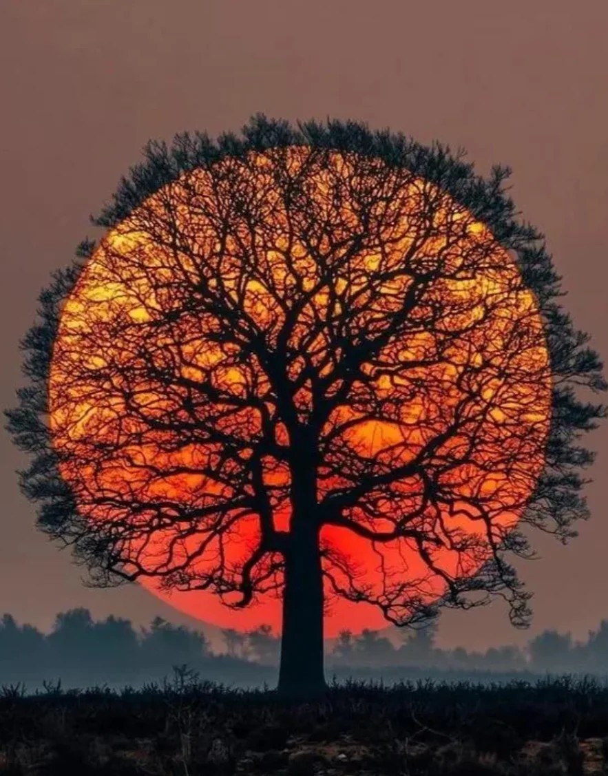 اللہم شد أزرنا إذا العزائم فترت، وآمن روعنا إذا السماء انفطرت، ويمِّن كتابنا إذا الصحف نشرت، وثقِّل كفة حسناتنا إذا الموازين نصبت.