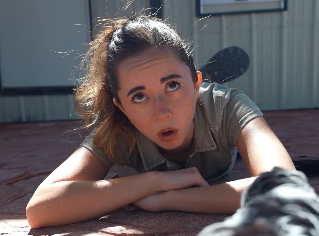 Saffphyx tweet media