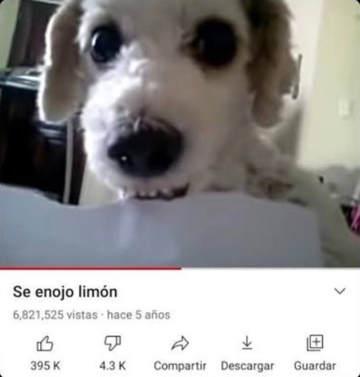 valen :v tweet media