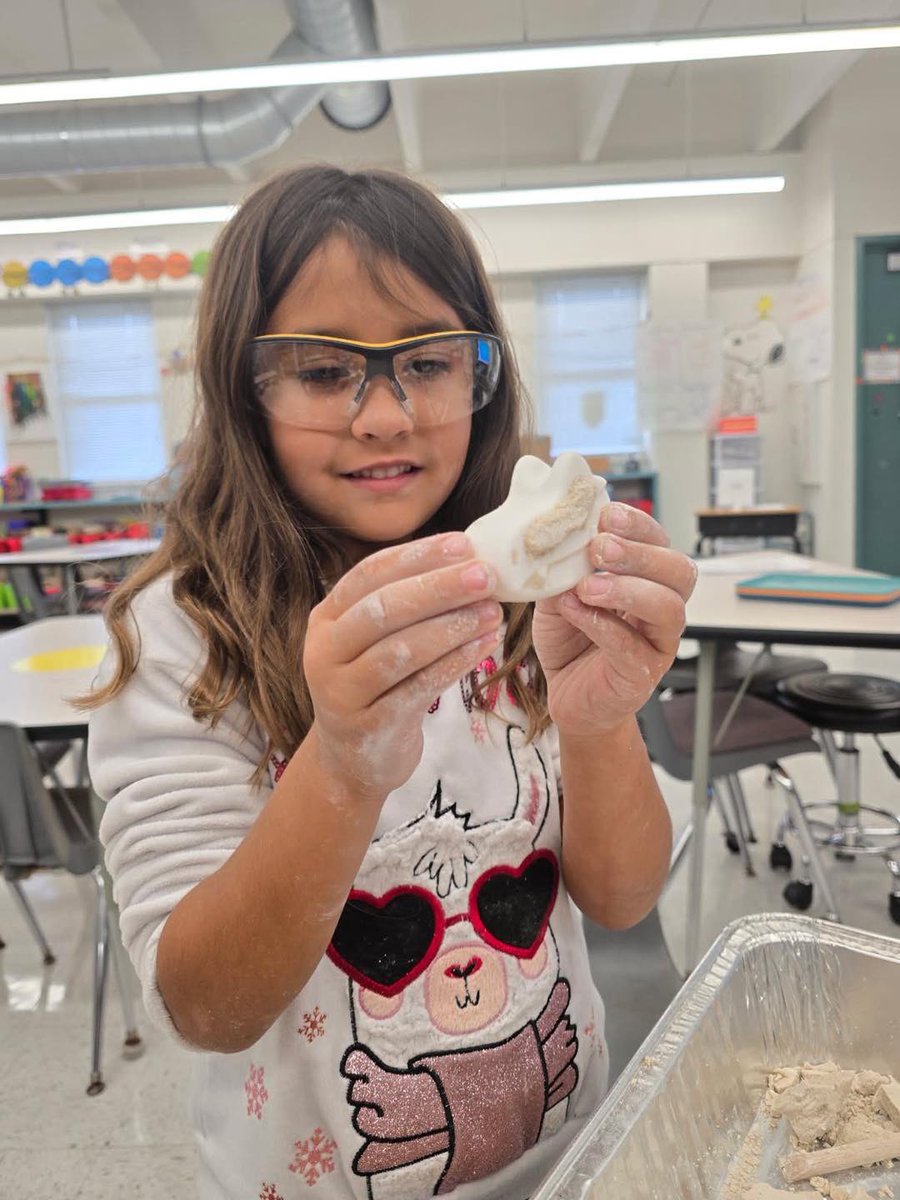 Lithia Springs Elem tweet media