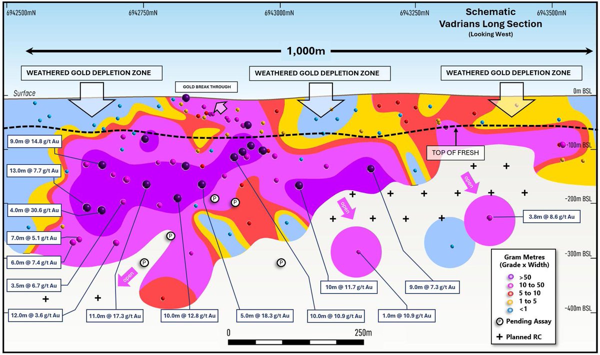 Caprice Resources tweet media