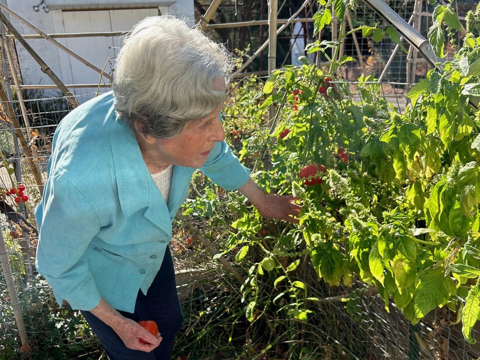 March Forth and Do Something Day is celebrated each year on March 4. How about planting a community garden? The holiday encourages people to do something new that enriches their own lives or the lives of people in their community. Maybe throw a vegan potluck dinner party?