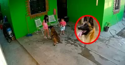 Alerta Mundial tweet media