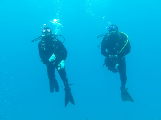 海上自衛隊　沖縄基地隊【公式】 tweet media