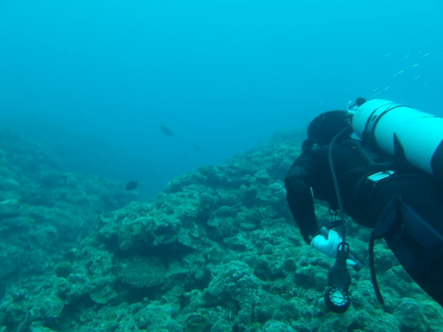 海上自衛隊　沖縄基地隊【公式】 tweet media