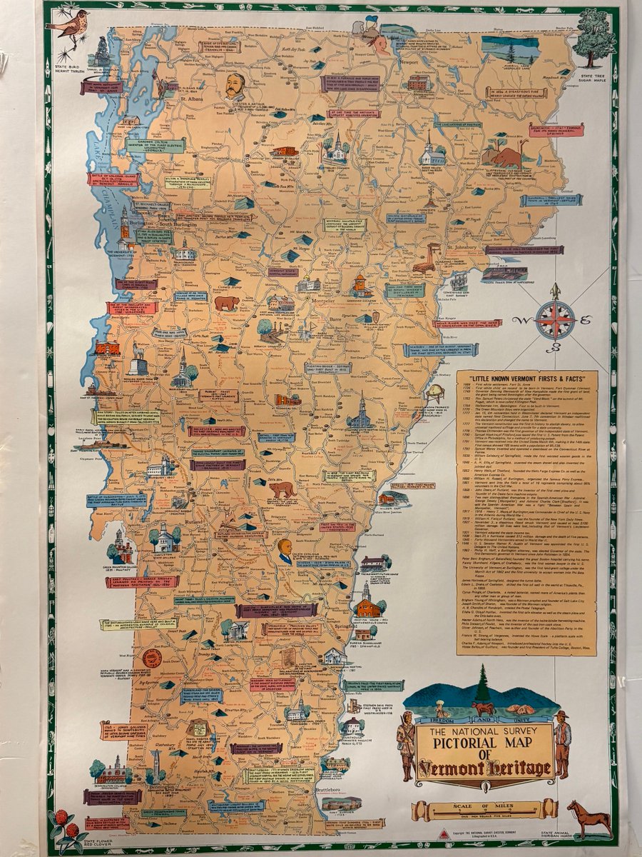 Old Hollow Tree tweet media