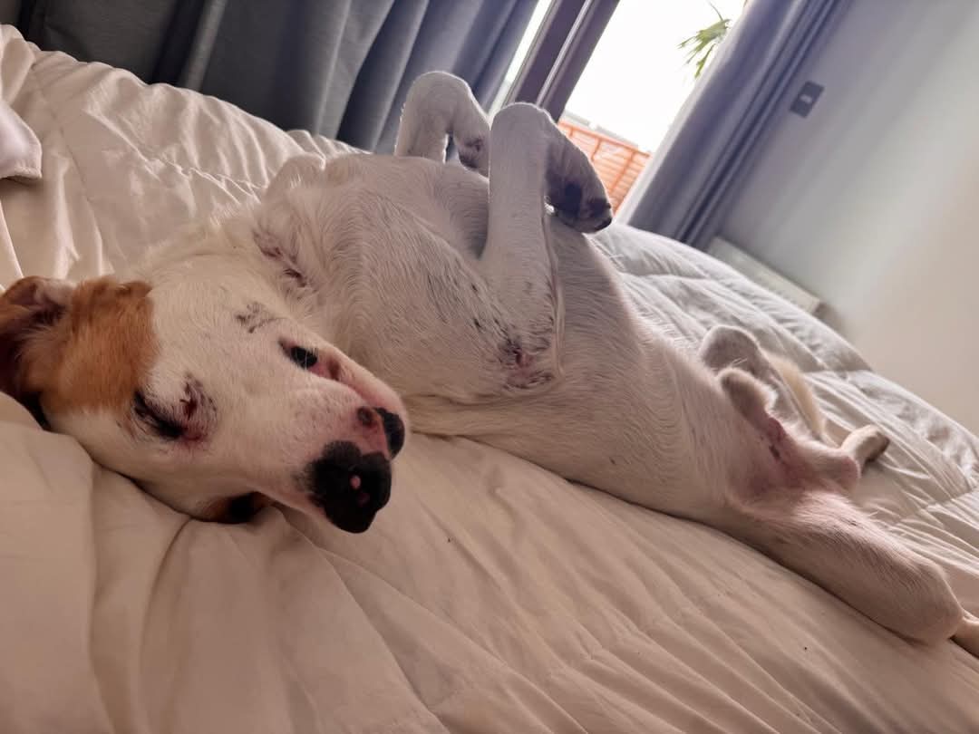 Brenda Etchegaray tweet media