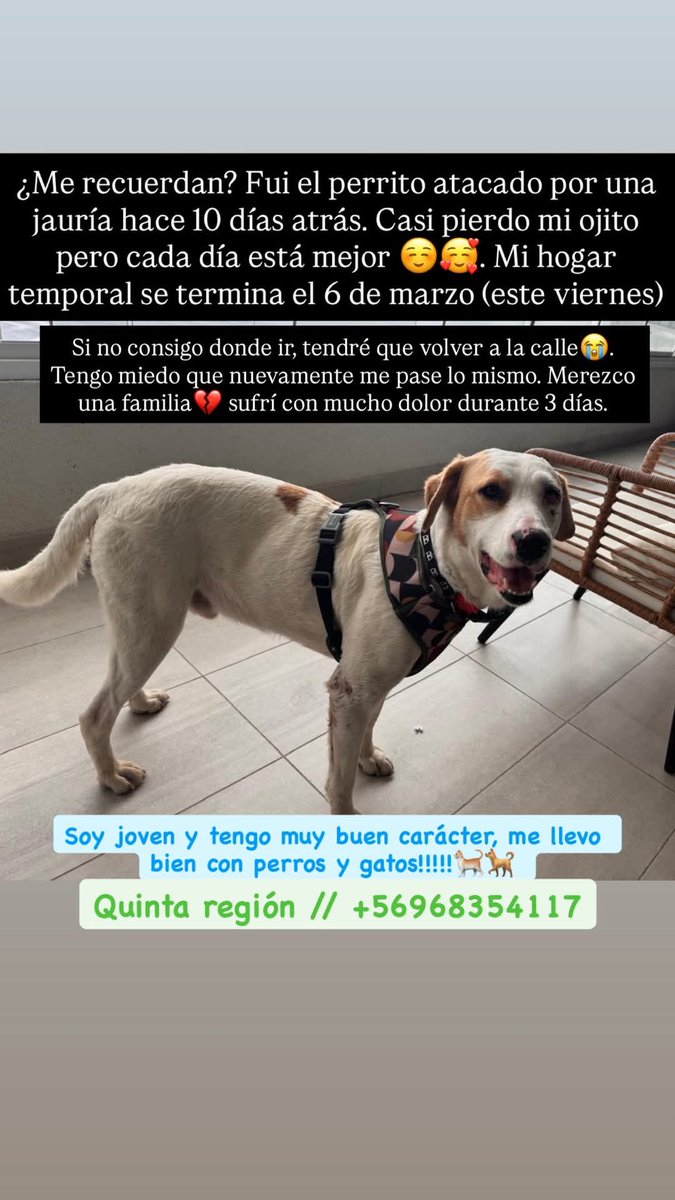 Brenda Etchegaray tweet media