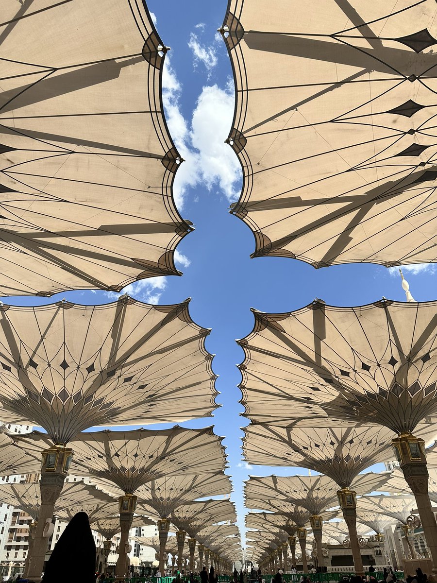 رنــا tweet media