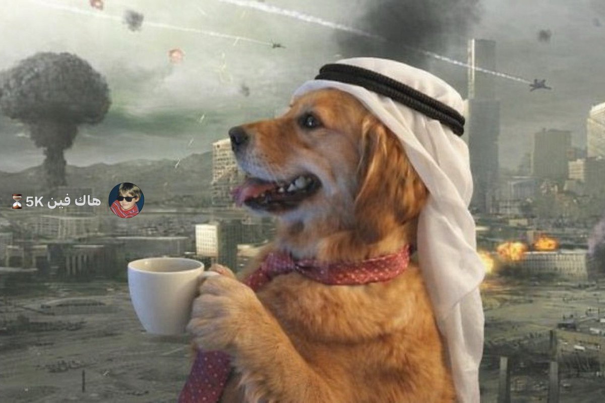 #الديره15 شيطان العرب يتجول في الأسواق