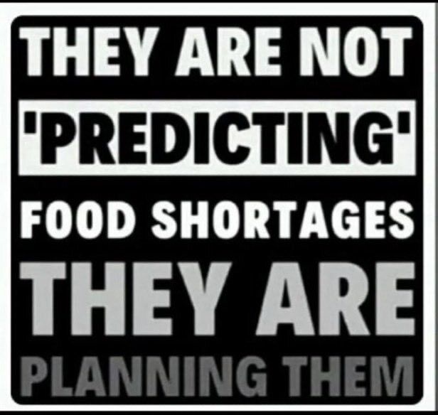 David Wolfe (@davidwolfe) on Twitter photo 