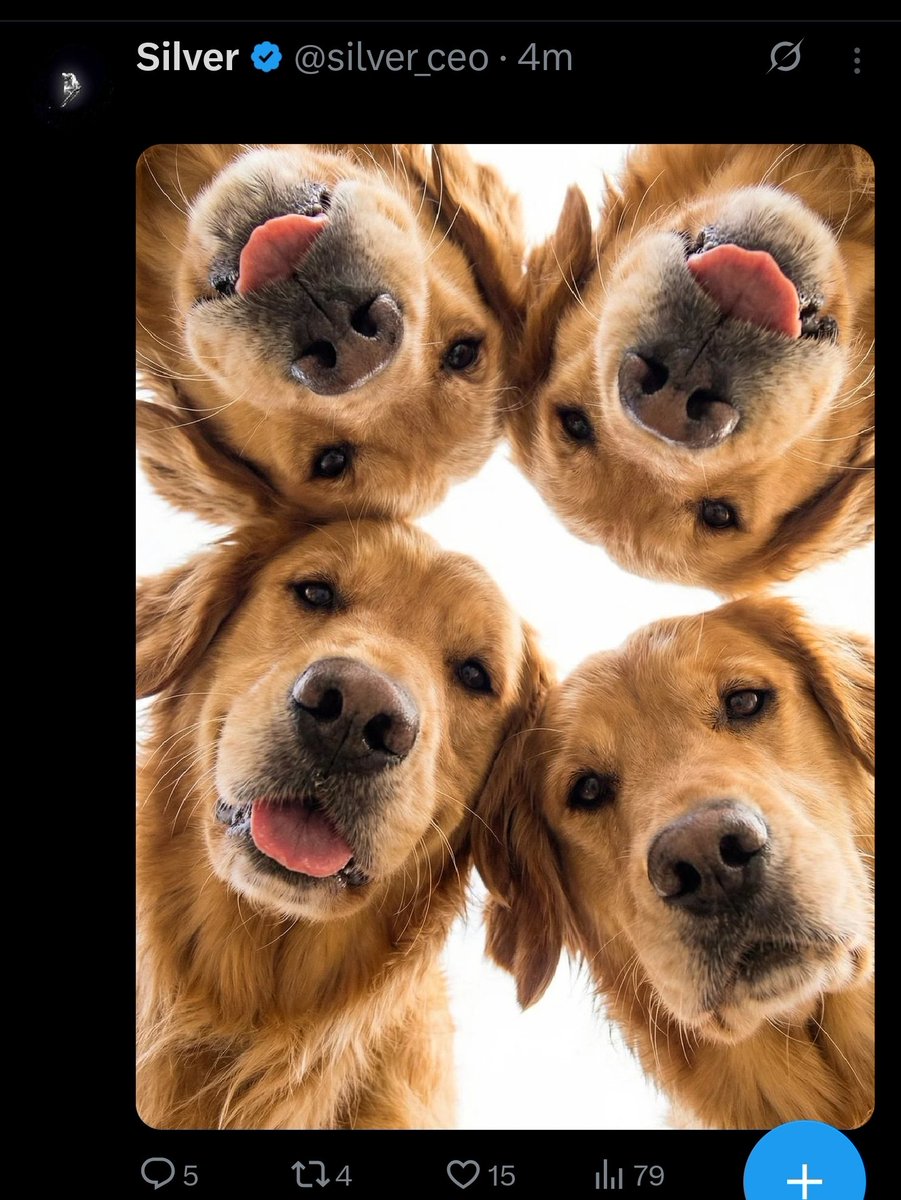 The Prophetic Outlaw tweet media