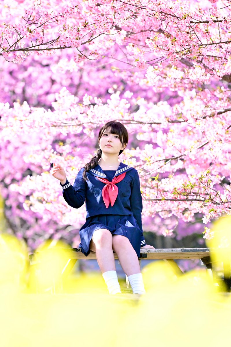ajipon141421356's tweet photo. #ひなせ さん　@hinase_model

#美少女  #ポートレート  #制服  #桜 🌸 https://t.co/atT35Mmc7j