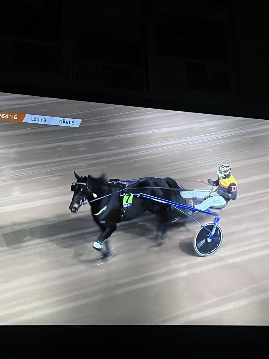 Ising Racing tweet media