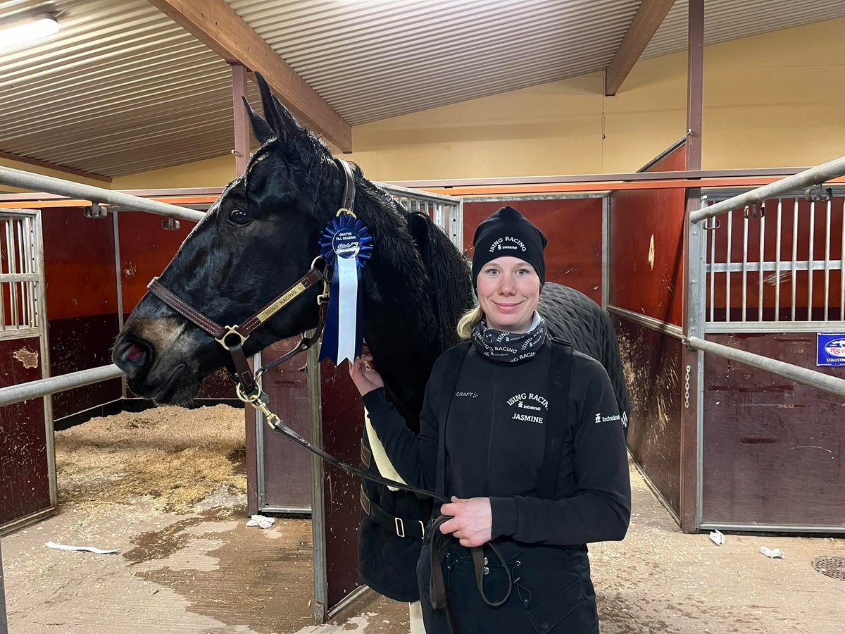 Ising Racing tweet media