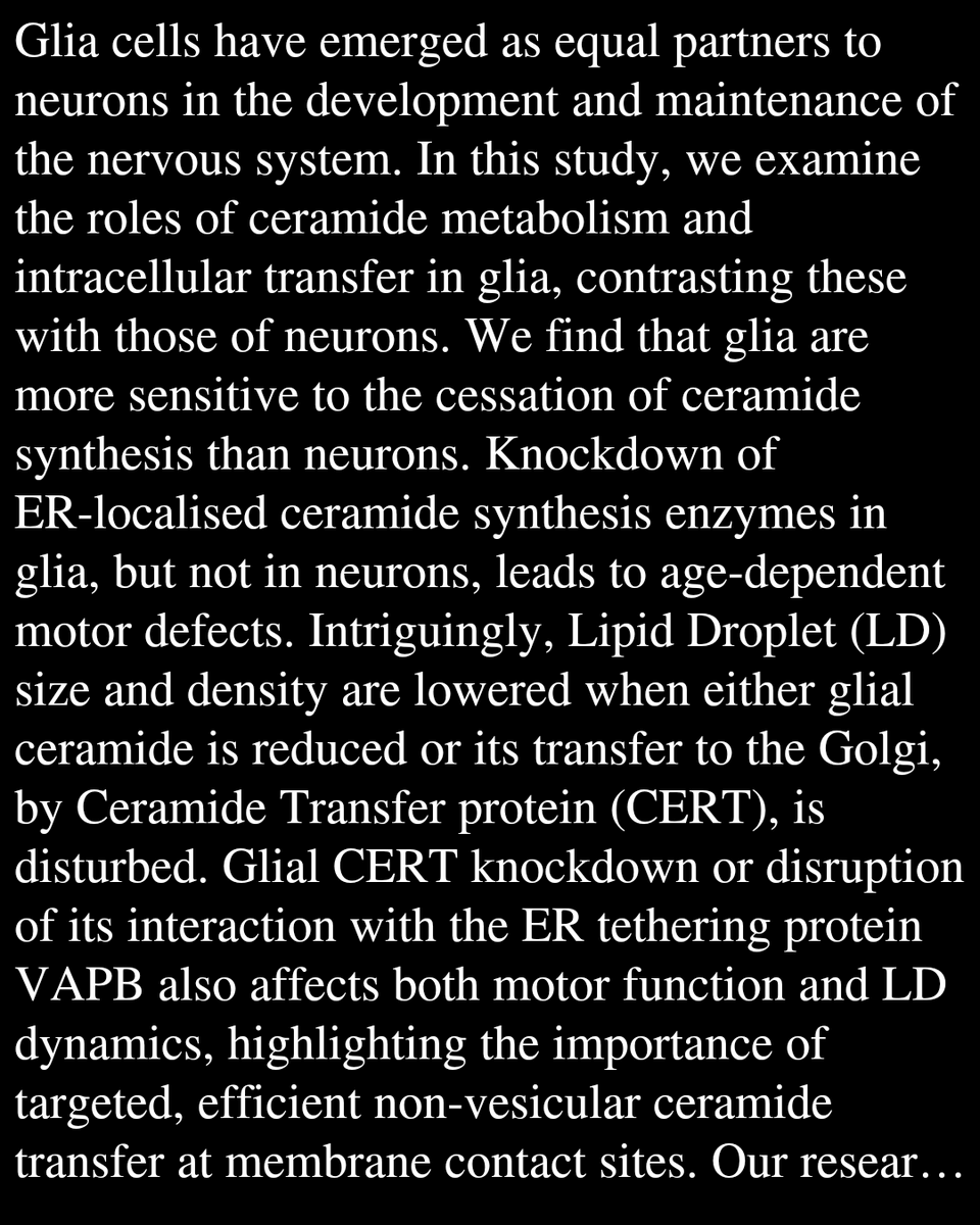 PBTQ's tweet photo. Glial ceramide orchestrates Lipid Droplet homeostasis and age-dependent motor function in Drosophila

Garg, L., H, K., DEIVASIGAMANI, S., Ratnaparkhi, A., RATNAPARKHI, G. S.
https://t.co/lDiQZ08hAQ https://t.co/1hcNEt2Kfa