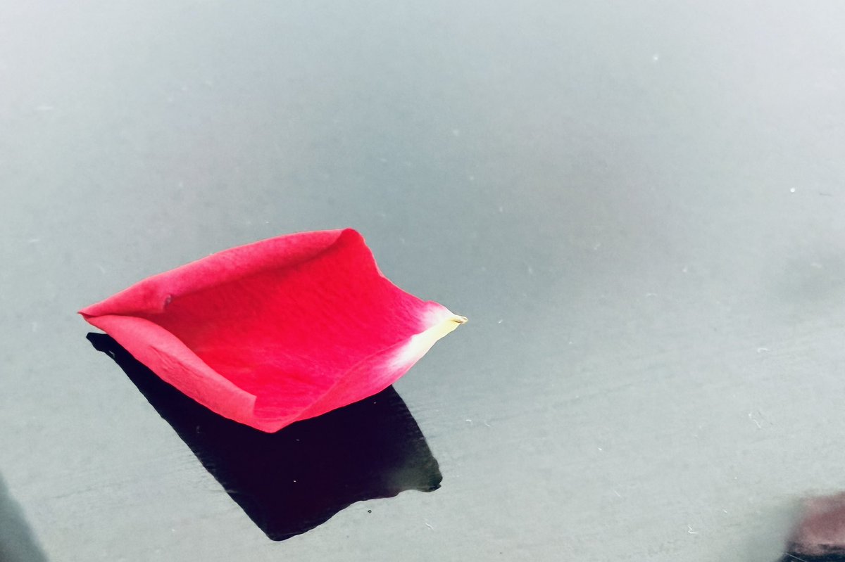 Pramod K Guru.MBBS,MD,DM,FASN tweet media