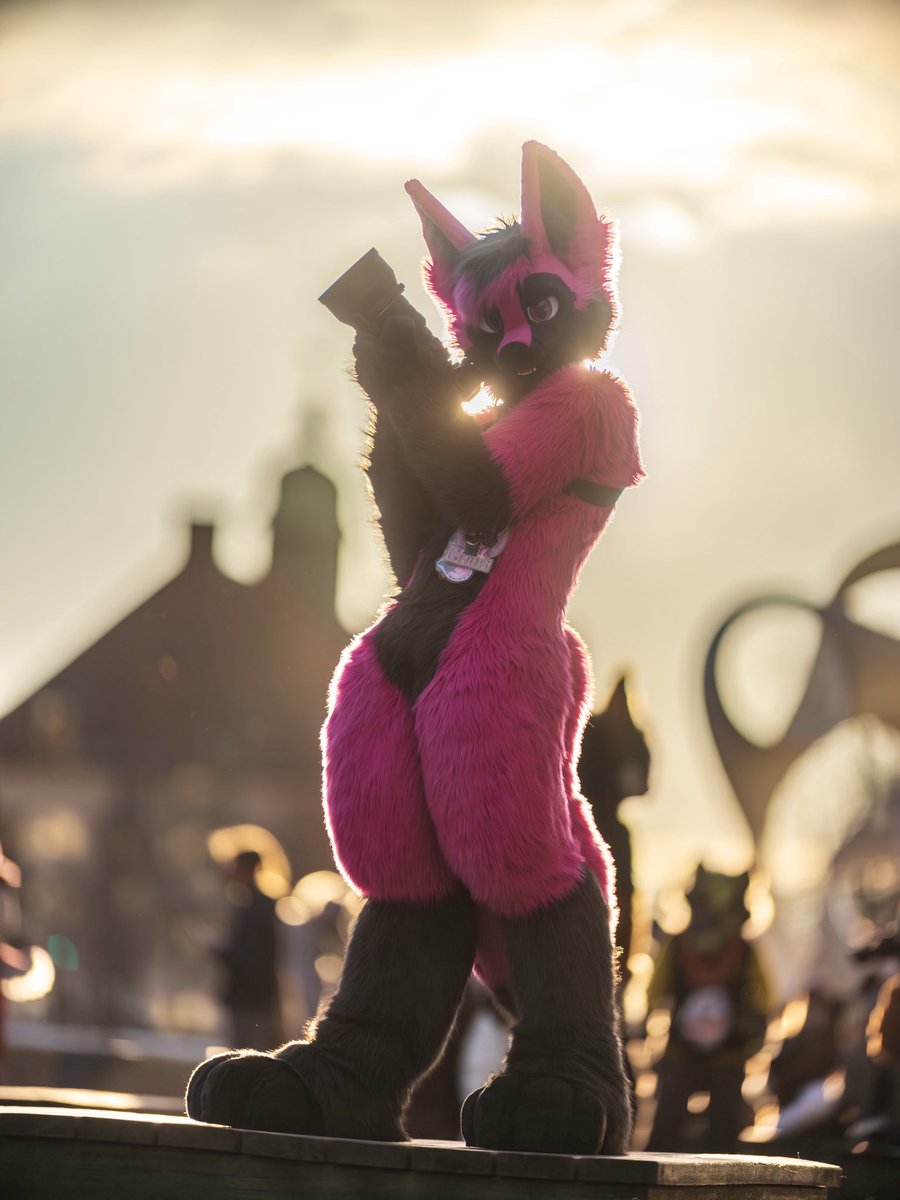 🌻 混沌的隊長 ➡️ AFC tweet media