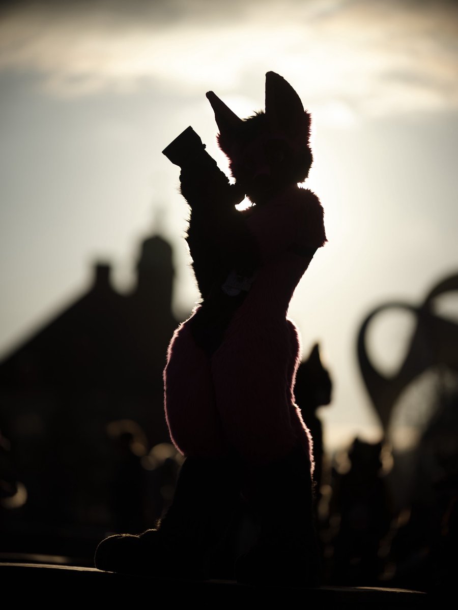 🌻 混沌的隊長 ➡️ AFC tweet media