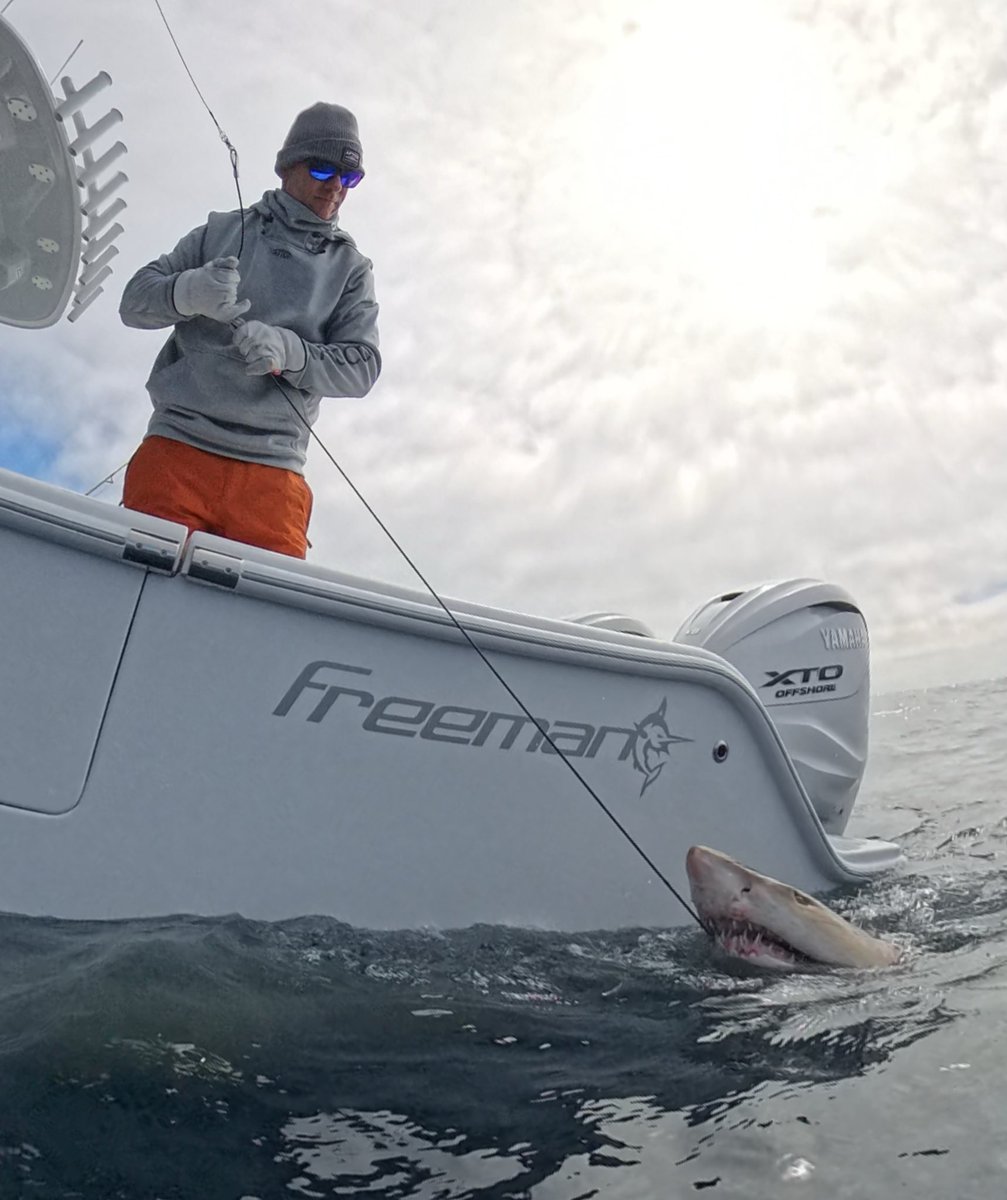 Chip Michalove tweet media