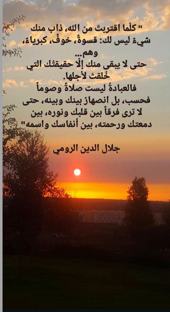 . tweet media