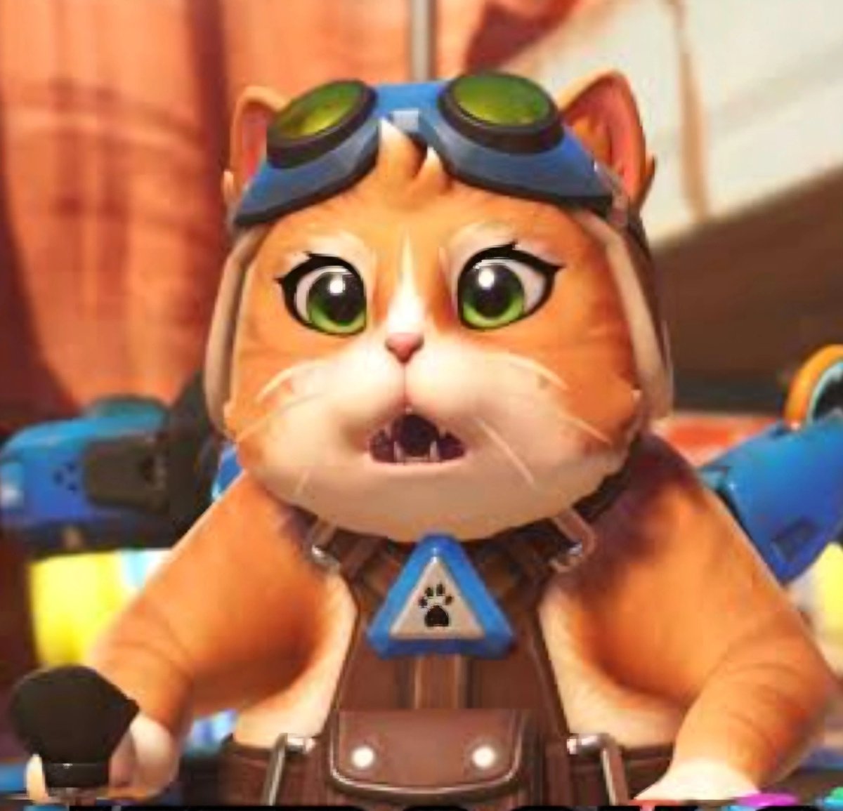 Jetpack Cat Updates 🐾 🐈 tweet media