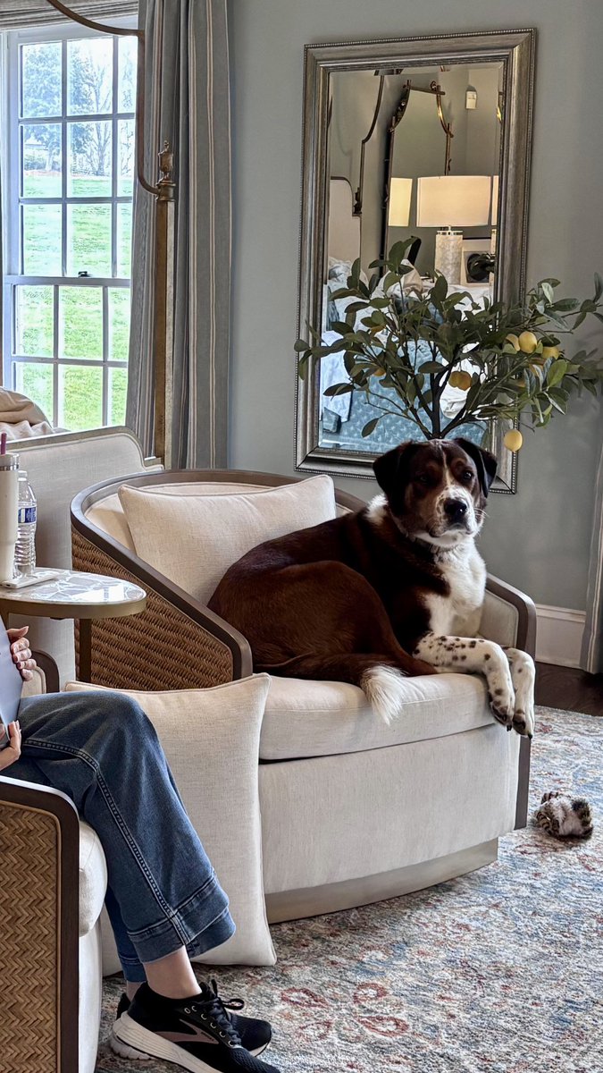 Megan Basham tweet media