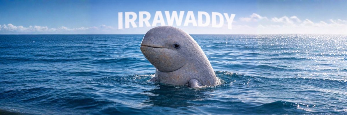 Dwayneddf's tweet photo. @_Shadow36 $irrawaddy https://t.co/6PrTIrP5t5