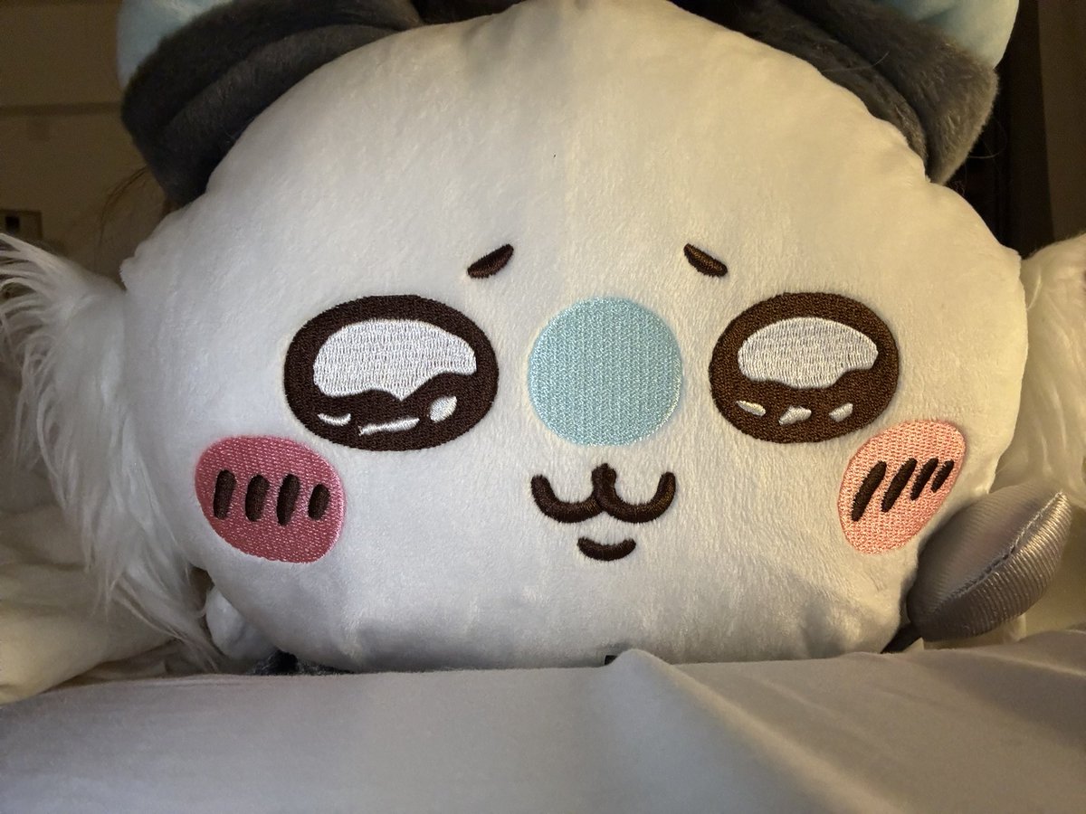 oottalgi0403's tweet photo. 眠い💤でも胃が痛くて眠れません https://t.co/7zI60xSeix