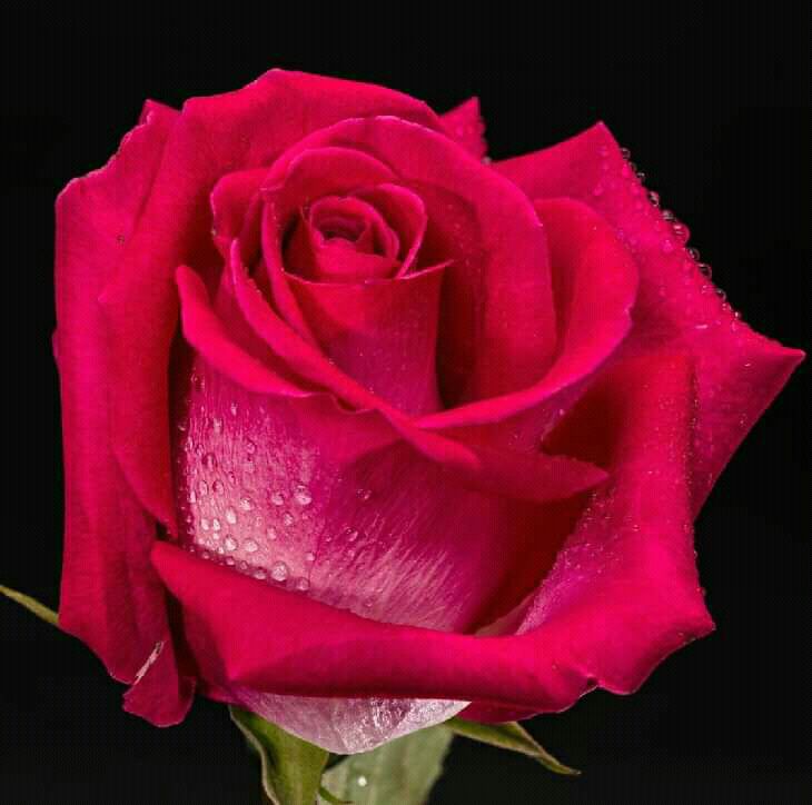 #بدايـــــــ870ــــــــهہ_نشطه 

🔥🔥<a href="/dhmaryt46577/">كبرياء ذمارية</a>🔥🔥

#متابعه_بمتابعه

#اللَّهُمَّ_صَلِّ_وَسَـــلِّم_على_نَبِيِّنَـــا_םבםבﷺ