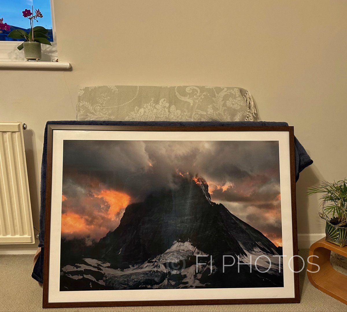 Fi Photos tweet media