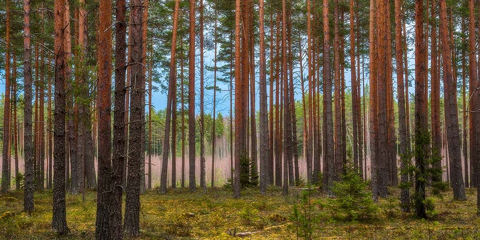 Sadly, in today’s world, there are inherent dangers and risks involved in real estate. If you’ve thought about buying a firearm to carry with you, Pat Porter, w/ <a href="/RecLandRealty/">RecLand Realty</a>, offers a few more reasons why you might want to consider it (or not). landthink.com/should-land-ag…