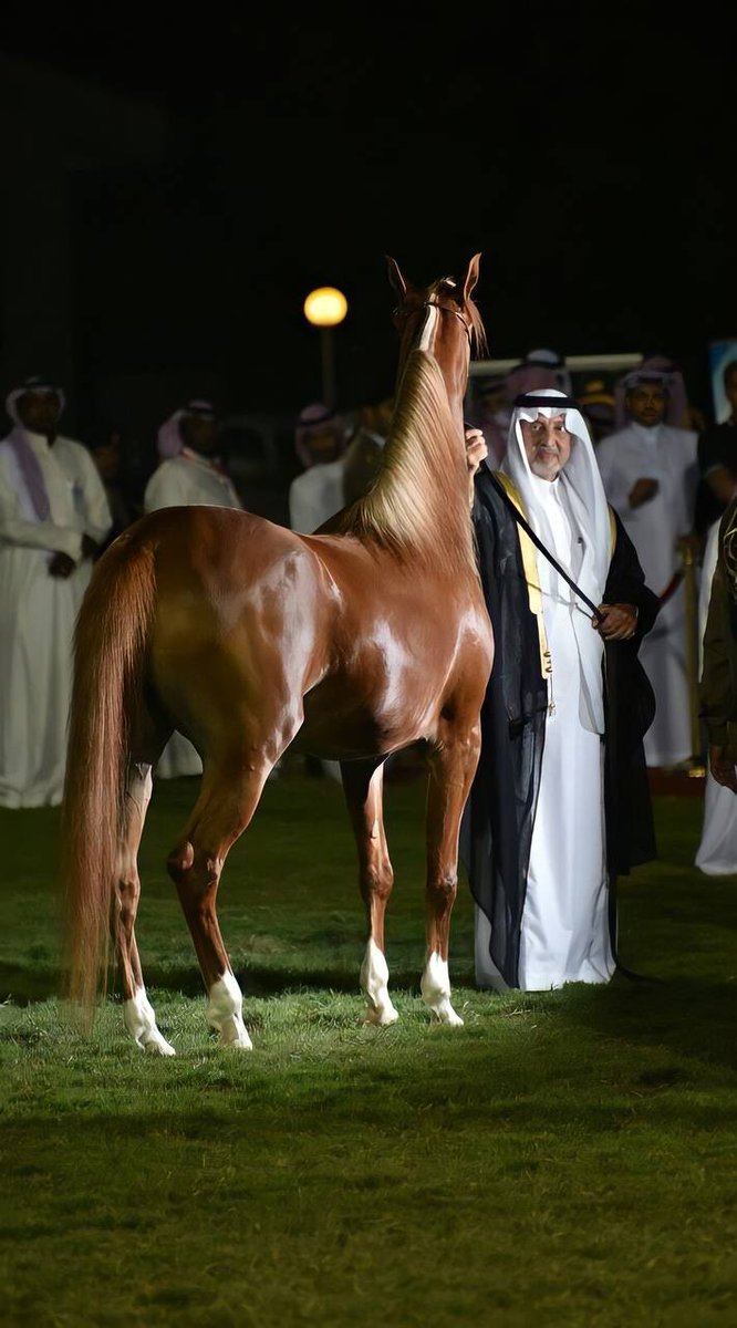 اصوات بعيدة tweet media