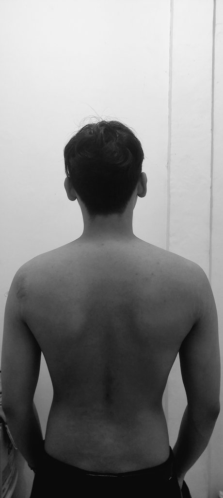 eve ₊˚ ִ tweet media