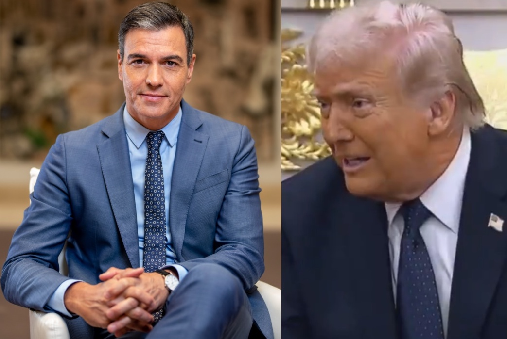 Occupy Democrats tweet media