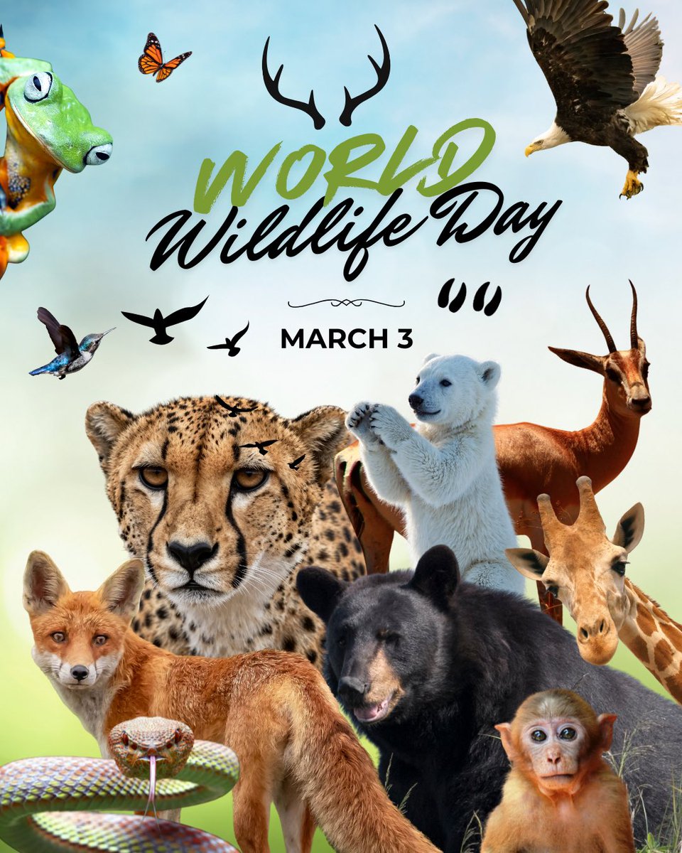 The MY HERO Project tweet media