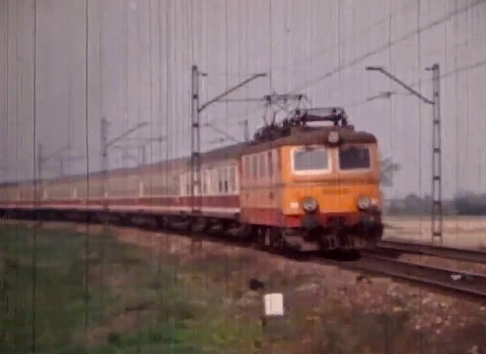 Michał Wrzosek tweet media