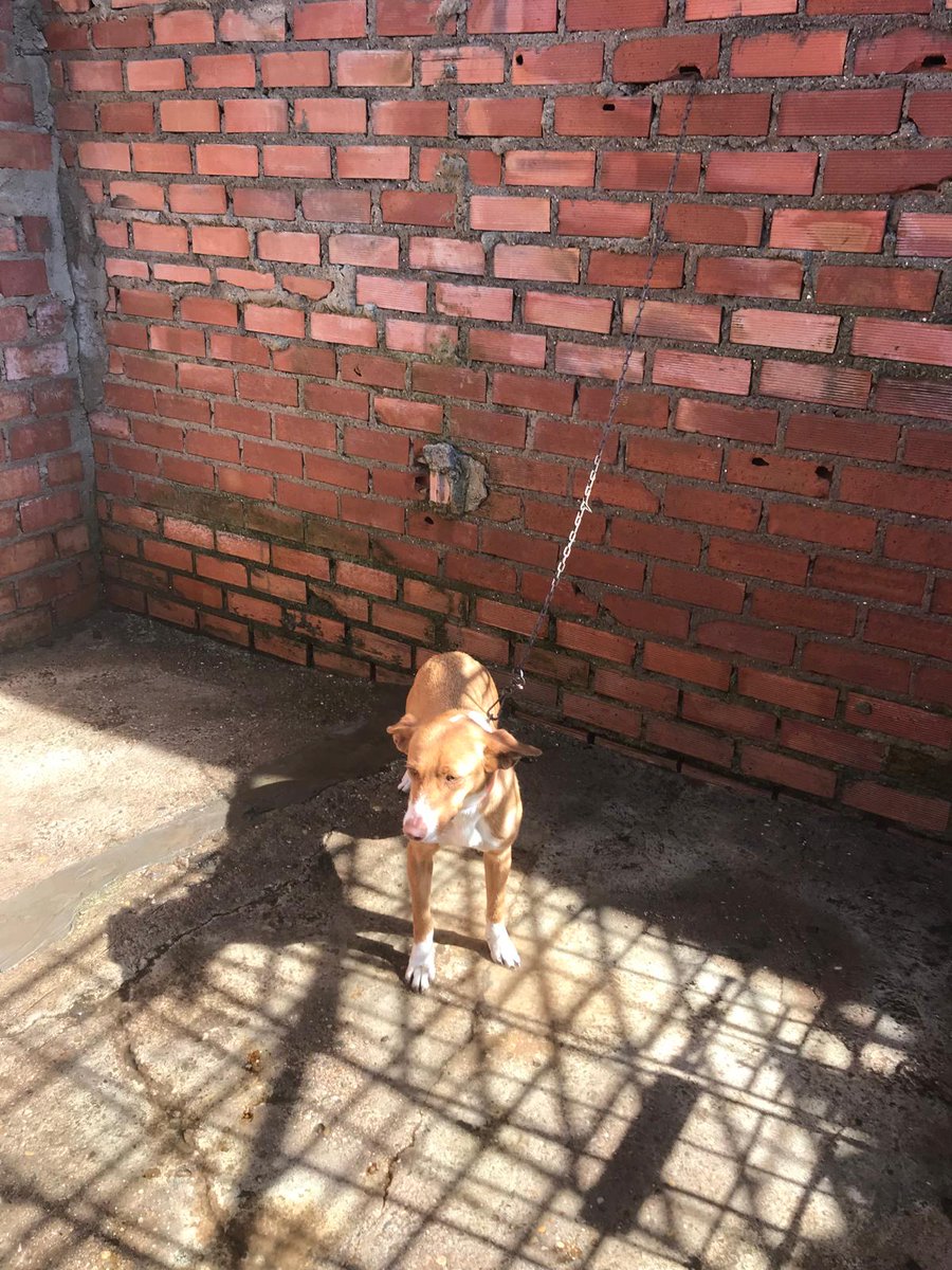 URGENTE !!!!
NECESITA VIAJAR DESDE Jerez de la frontera a Alicante !!!! Va a perder la oportunidad de su vida de tener una familia, se hace cargo una compañera. 637528359