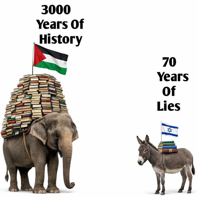 ter pill tweet media