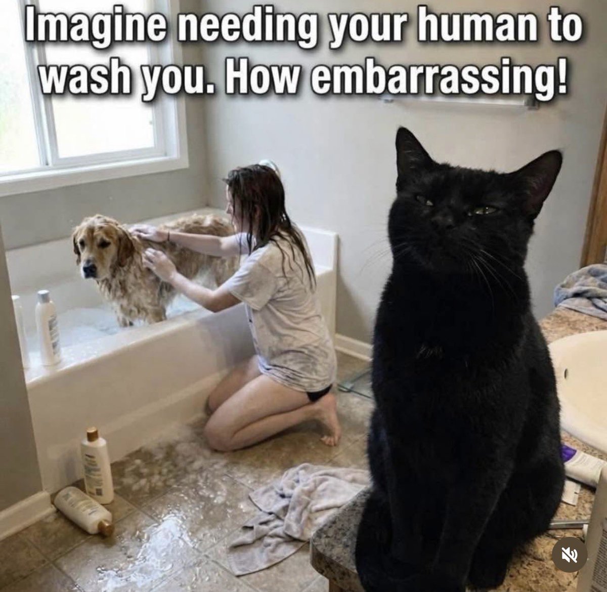 🐛🌷Dean🦋🪴 tweet media