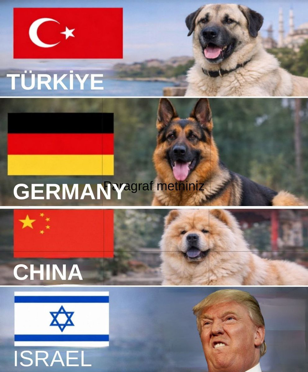 Countries and their dogs