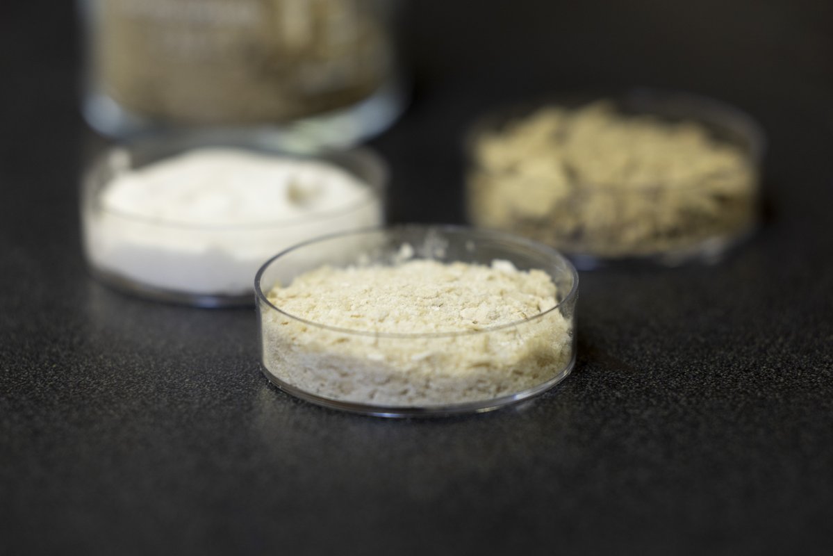 Arkansas Agricultural Experiment Station tweet media